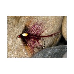 Wets hotclaret cekate $2.34