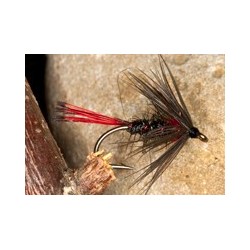 Wets RedTailPennel $2.34