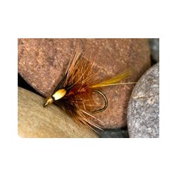 Wets fierybrown cekate $2.34