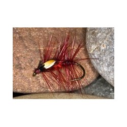 Wets cockeyedbibio $2.34