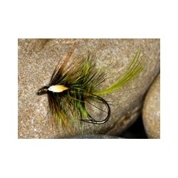 Wets hotolive cekate $2.34