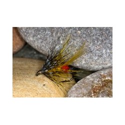 Wets RAGOBumble $2.34