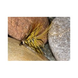 Wets LemonGreyBum $2.34