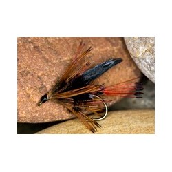 Wets HaulyGwentRedTail $2.34