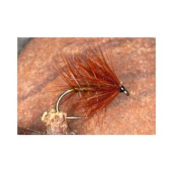 Wets PaddysFancy $2.34