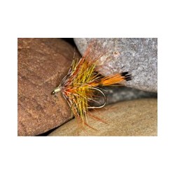 Wets goldenboghillbum $2.34