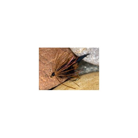 Wets HaulyGwent $2.34