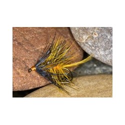 Wets GoldenOlBum $2.34