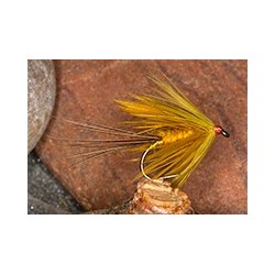 Wets GalwayOlive $2.34