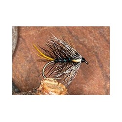 Wets KateGrayHaired $2.34