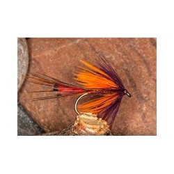 Wets GalwayOrange $2.34