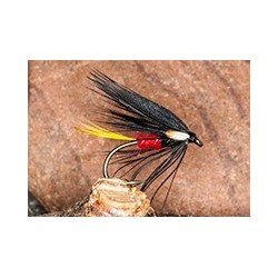 Wets WatsonsFancy $2.34