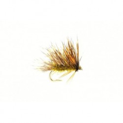 Wets Sedgehog Olive $2.34