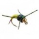 Beaded Nymphs Tung RL C N Copper Bob  Chartreuse $2.42
