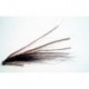 Tubes Sunrays Shadow Black  Plastic Tube Fly $6.80