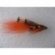 Tubes plastic tube conehead ally shrimp $6.80