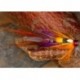 Tubes Keachie Krill Tube $6.80