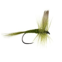 Barbless Flies Olive Dun BL $2.34